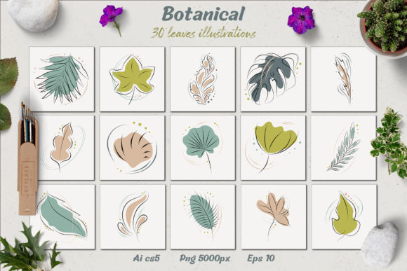 Download Botanical - Leaves Illustrations - Illustrations Collection